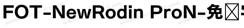 FOT-NewRodin ProN字体转换